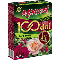 ROZA 100 DNI 1,5 KG.